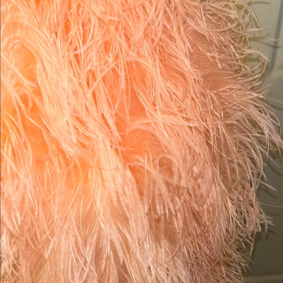 SAFFIYYAH PAUL Ostrich Feather Peach High Neck Open Back Mini Dress M/L - Picture 11 of 16